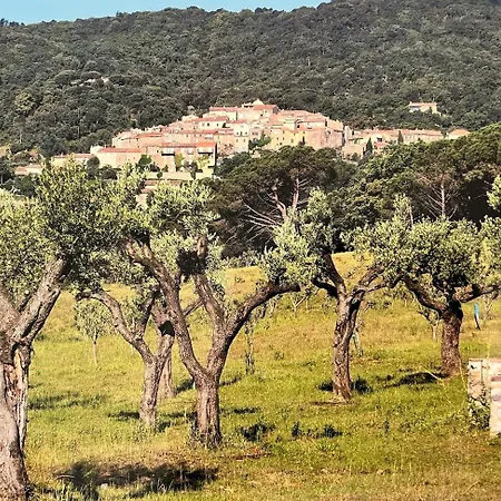 Villa Le Mas Ramatuelle Ramatuelle
